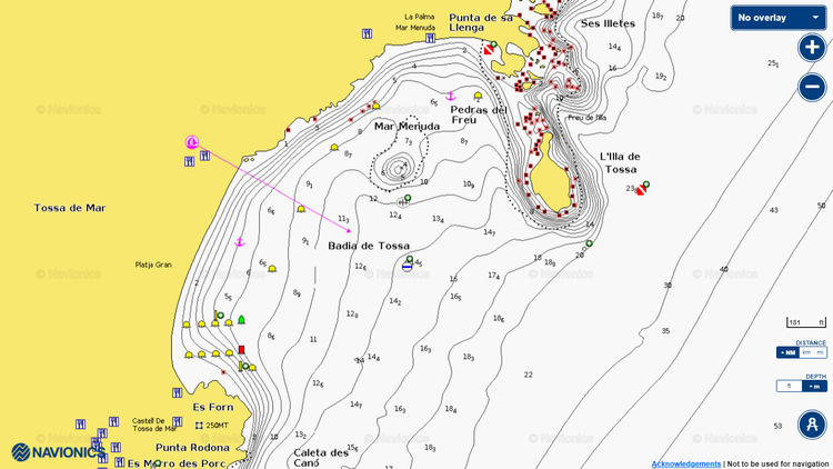 Открыть карту Navionics стоянки яхт на буях в бухте Тосса