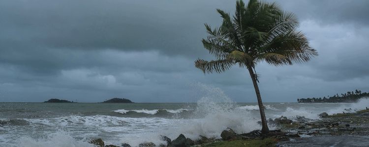Погода и ветер Сент-Винсента и Гренадин