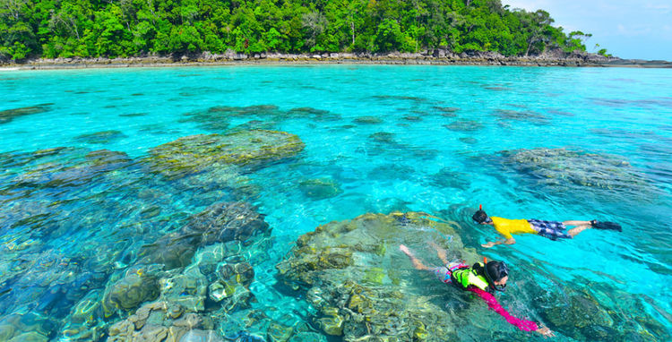 Суринские острова. Мелководный коралловый риф