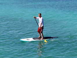 Stand Up Paddle boards