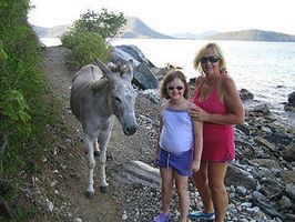 Patti & Maddy meet a donkey