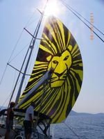 Lion King sail
