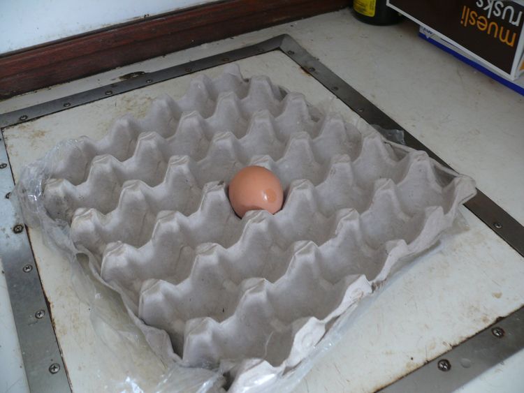 Хранение яиц на яхте