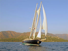 Ofelia sailing