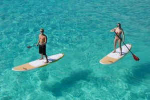 Learn to Paddle Board!